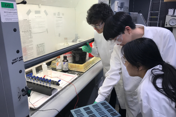 Students work on capstone project in lab