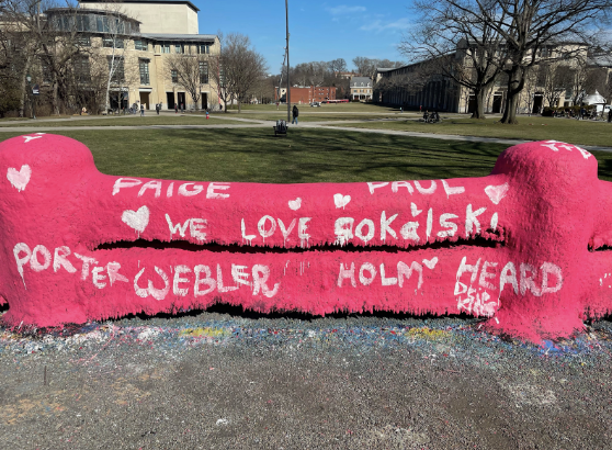 Painted fence on CMU campus