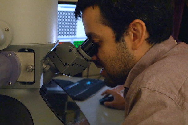 Sebastian Caldron using a microscope with computer screen in background 