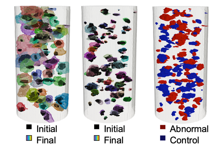 3D visualization of three vertically oriented rectangular microstructures 