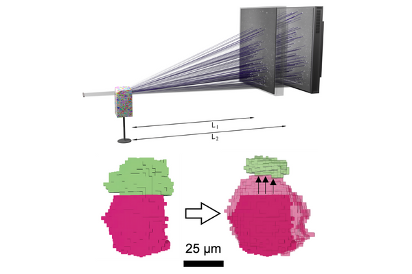 Graphic comparing the prediction versus experimental results of the study